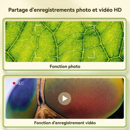Visuel des fonctions photo et vidéo du microscope enfant MicroPixel, illustrées par une feuille et un œil d’insecte.