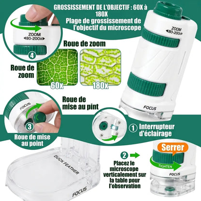 Réglages du microscope portable enfant MicroLab : zoom, mise au point et éclairage, avec exemples d’agrandissements illustratifs.